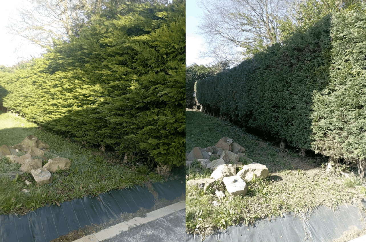 Mobirise Website Builder